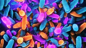 Exploring the mysteries of the human microbiome