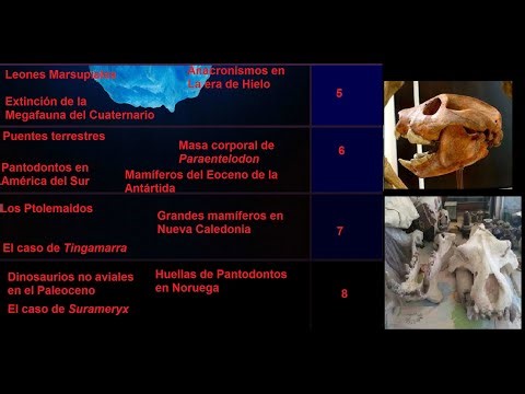 El Iceberg del Cenozoico (Parte 2: A)