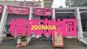 横滨 Zoorasia 动物园 游记