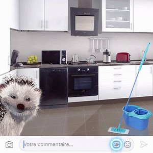 Nettoyer avec notre Express System , c’est super rapide ! Utilisez les GIF en commentaire pour nous montrer comment vous vous sentez chez vous quand le ménage est fini 😉 | Spontex et le hérisson