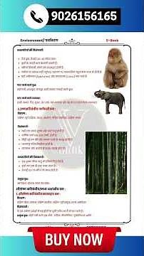 Ecological Pyramid में Energy Pyramid, Biomass Pyramid, Number Pyramid — तीनों अलग हैं