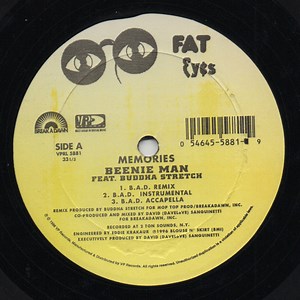 Beenie Man - Memories