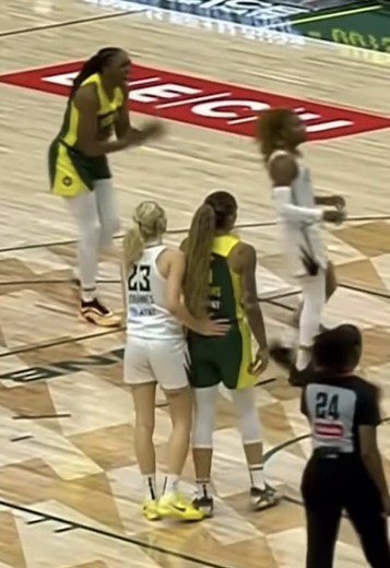 WNBA Highlights: Gabby Williams and Marine Johannes