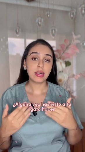 El asma felino 🐱🐈es una patología bronquial🫁 crónica de alta incidencia, con características similares al asma alérgico de las personas, que se caracteriza por una respuesta inmune frente a alérgenos e irritantes ambientales. Afecta entre el 1 al 5% de la población felina doméstica y se presenta en pacientes de todas las edades y razas, pero es más frecuente en la raza siamés y en animales jóvenes o de Edad Media. El signo clínico característico es la tos, y puede presentarse dificultad respi