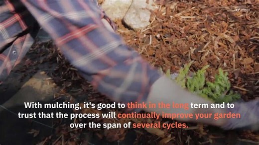Mulching tips for your gardening hobby