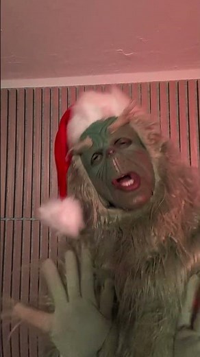 Rude Olf (my favorite) #thegrinch
