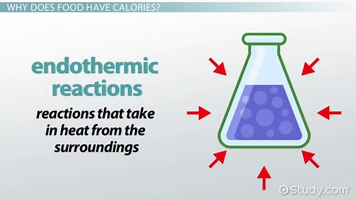 Bomb Calorimeter | Uses, Equations & Examples