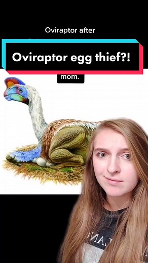 Understanding Oviraptor's Maternal Instincts