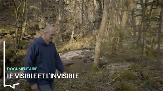 7 jours d’immersion dans la communauté bénédictine de l’Abbaye de la Pierre-qui-Vire ⛪ Un film sensible mettant en lumière la foi et l’humanité des religieux qui, bien qu’à l’écart, demeurent profondément ancrés dans le réel ⬇️ https://www.lejourduseigneur.com/videos/le-visible-et-linvisible-a-labbaye-sainte-marie-de-la-pierre-qui-vire-2833 | Le Jour du Seigneur