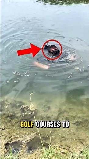 Top 3 Weirdest Jobs That Actually Pay Big Money 💰 | You Won’t Believe #1! #job #shorts