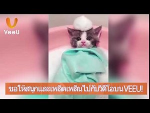 180912 susie hu Veeu meetsocial 03a