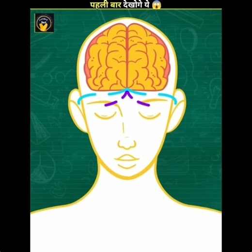 Why Does ''Vomiting" In The Car ?😱