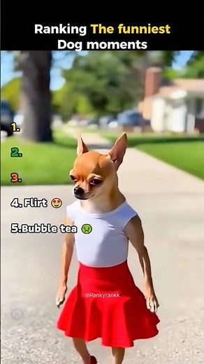 Ranking the funniest dog moments 😂| #funnydogs #dogshorts #shorts #viralshorts #dogs #funnyvideos