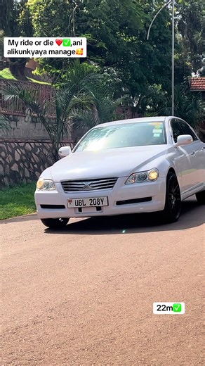 Discover the Best Rides with Mark X 2007