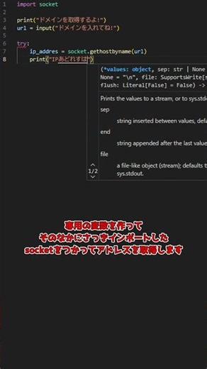【プログラミング】一日ひとつプログラミング!アドレス入手! #プログラミング #python #ゆっくり解説