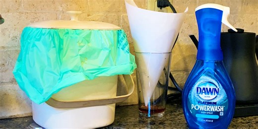 This Dish Soap Is My New Go-To Insect Killer