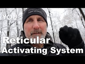 Reticular Activating system