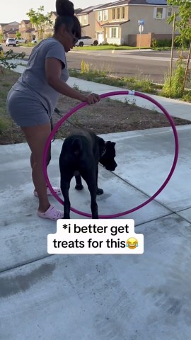 Mom tries to hula hoop-train her easily distracted guard dog