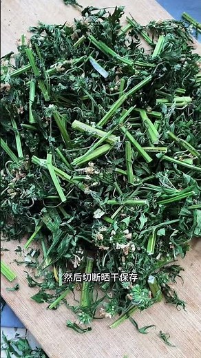 What are the uses of motherwort?# Motherwort