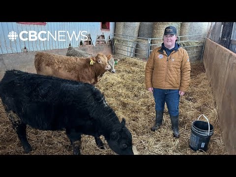P.E.I. teen takes home Canada’s top junior award for Angus cattle