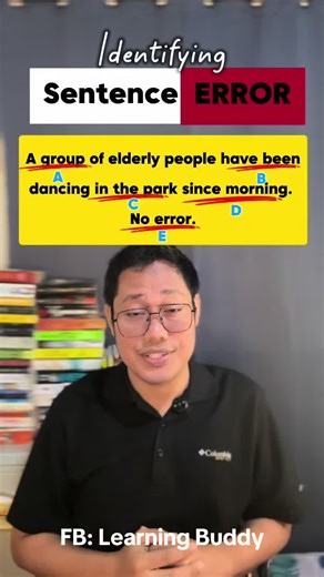 Identify Sentence Errors: English Grammar Practice