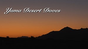 1K views · 33 reactions | Celebrate today's second #DoveSeason opener by checking out this video about Yuma's Desert Doves! Founded by AZGFD's Catherine Thompson and her daughter, the all-female Doves come together to hone their skills and hunt as well as mentor women new to the sport in how to be safe, ethical hunters. After you watch, visit https://fal.cn/SecondDoveSeason for everything you need to know about this dove season! | Arizona Game & Fish Department | Facebook