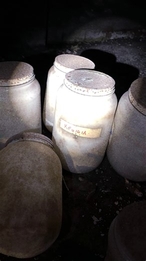 Tongues found in jars under woman's home. 👀