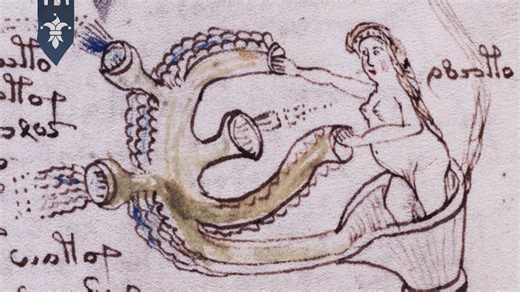 The Mysterious Medieval Manuscript We Still Can't Decipher