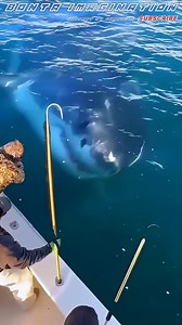 2M views · 8.8K reactions | Tilley on Reels | Facebook