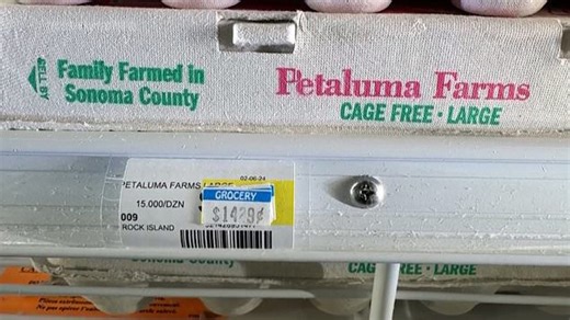 Egg prices likely to climb as prices hit highs amidst bird flu fears