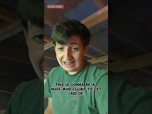 BIG Feathers Farm Homestead Adventures