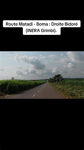 Écologie et Nature au Congo : Explorez Kikongo