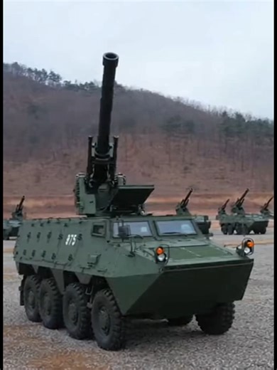 South Korean Military Joint Firepower Training Overview