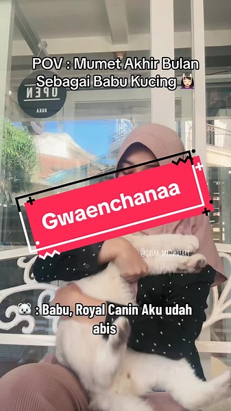 Ada yang relate? 🥹 Ya meski kadang bikin mumet, jgn berkecil hati. Pasti akan selalu ada rezeki buat mereka. Yakin krn Allah telah menitipkan rezeki mereka melalui kita. #babukucing #kucinglucu #quoteskucing #kucing #kucingscottishfold #scottishfold