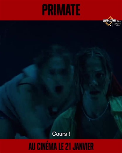 6.5K views · 30 reactions |  . Primate / 2026 ✒️ . Synopsis : Des vacances tropicales tournent mal lorsque Ben, le chimpanzé adopté par une famille, devient soudainement violent.. | Culte de Scènes | Facebook
