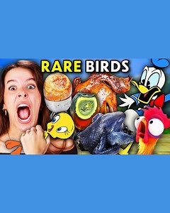 We Ate The Most Exotic Birds In The World! | Knew It Or Chew It! 🐓 #trivia #food #DeliciousEats #foodtrends #PVF | People Vs Food By React