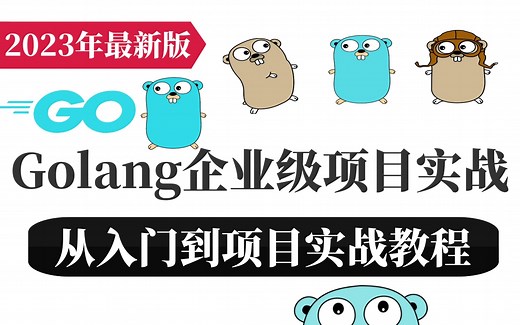 【2023年最新版】Golang DevOps企业级项目实战，从入门到项目实战教程（Go编程基础与核心技能、Go后台中间件编程、Go项目实战开发、Go云原生）