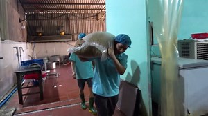 Exploring the Production Process of Making Tofu