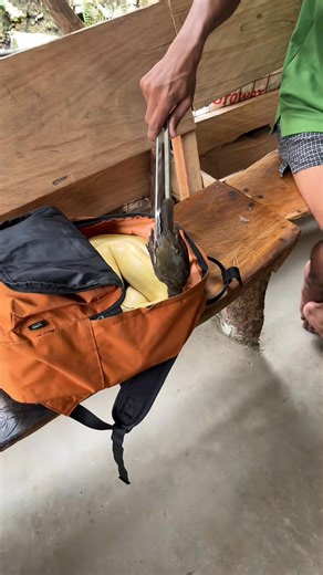 4.3M views · 23K reactions | Araymo talaga #hilightseveryonefollowers #everyoneシ゚viralシviralシfypシ゚viralシalシ #cctoownerofthisvideo . . . . BY Ariston Era | Scarsm Vlog | Facebook