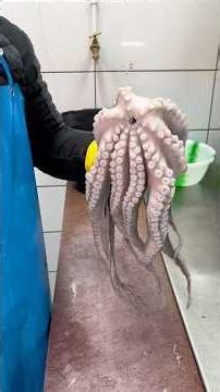 How to clean properly a octopus 🐙