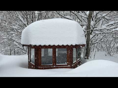 Heavy Snowfall in a Log Cabin - Caught in a SNOWSTORM
