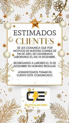 Blitz Electric on Reels | Facebook