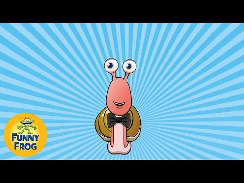 I’m Harry the Snail 🐌 | Learn Snail Body Parts & Habitats | Fun Kids Cartoon Song