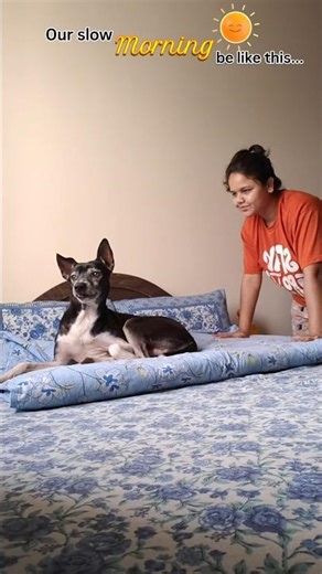 MINI VLOG 54 #minivlog #morningroutine #dog #love #shorts #thechicaloca