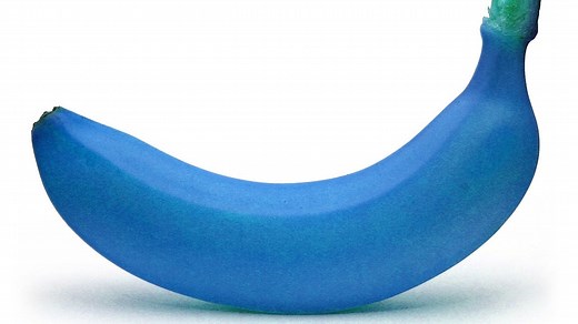 The Invisible Spectrum: Colors Hidden from Human Eyes