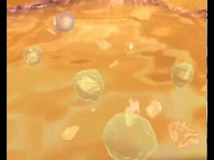 Ultrasonic cavitation how it works