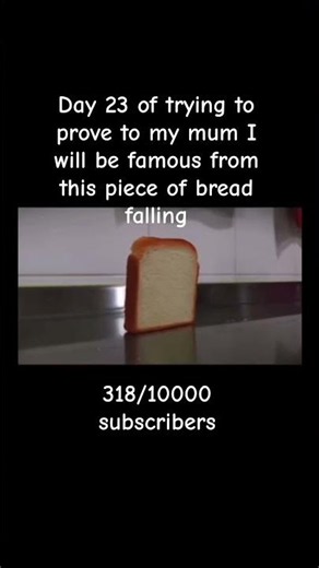 Day 23 of this bread falling