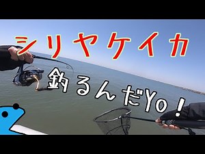 【飯岡漁港】シリヤケイカを釣りに来たんだYo！な動画