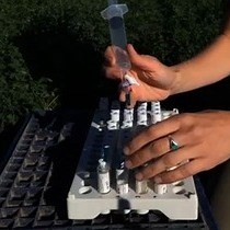 Vídeo: Medição do Fluxo de Gases de Efeito Estufa de Solos Agrícolas Usando Câmaras Estáticas