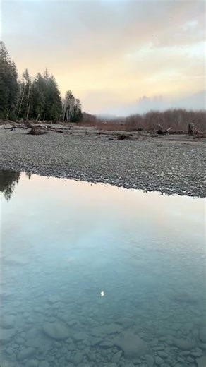 Bogachiel River along the Bogachiel Rain Forest Trail